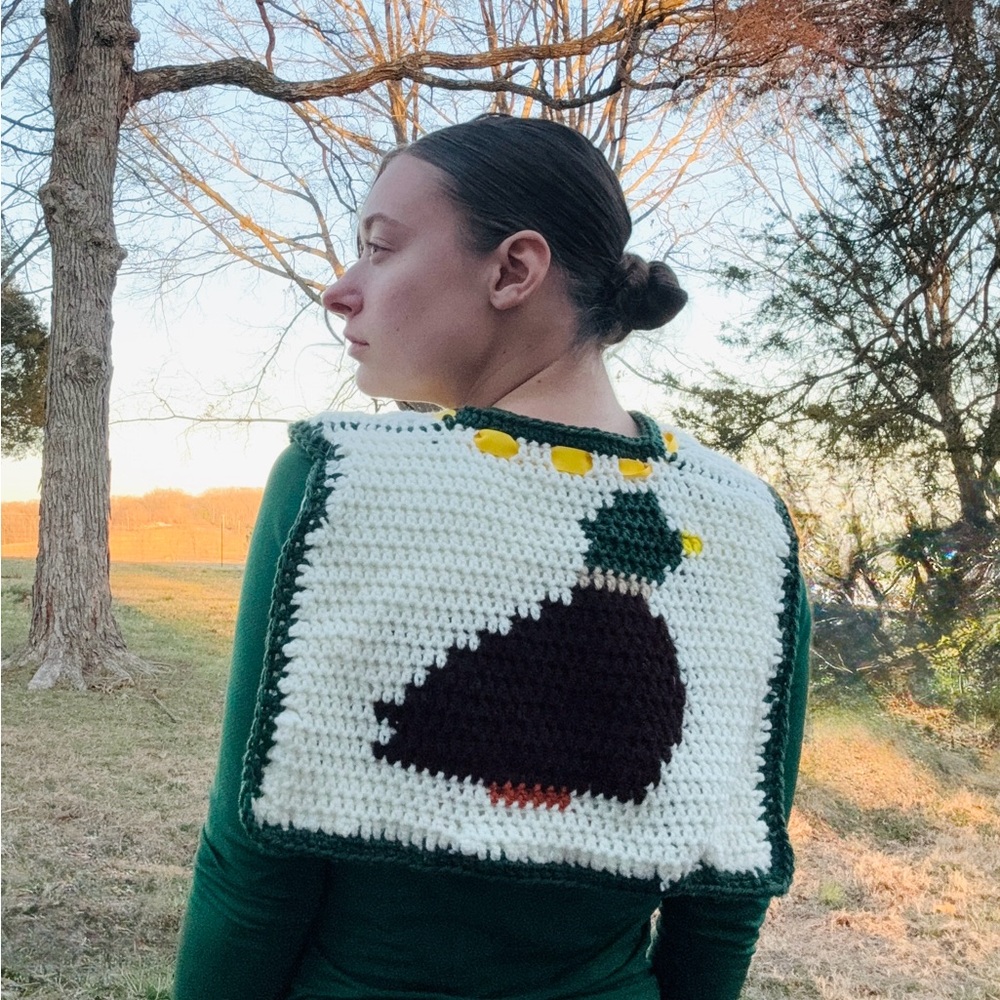 Mallard Duck Crochet Collar 🦆